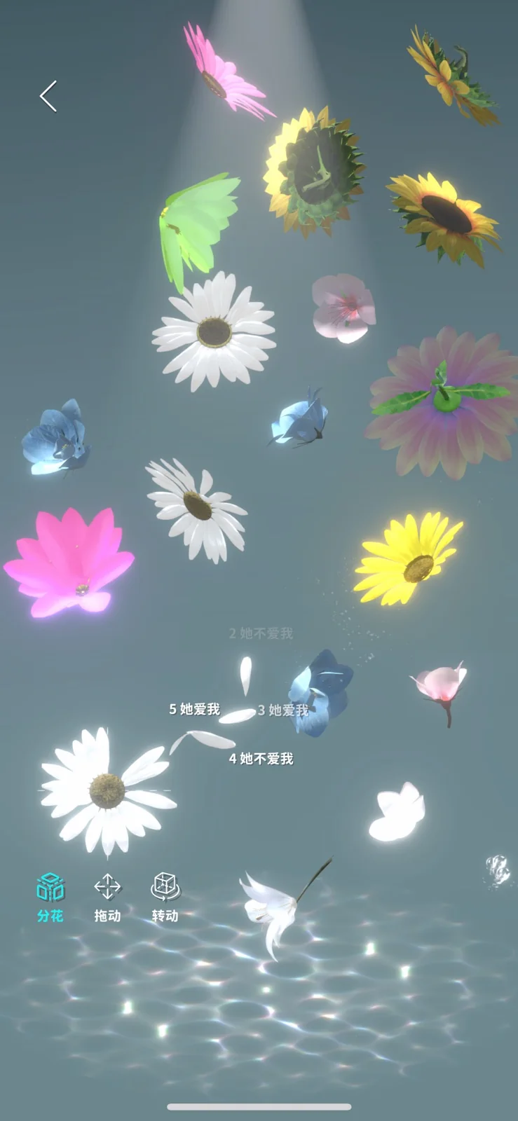 分花: 不同花朵与动画效果